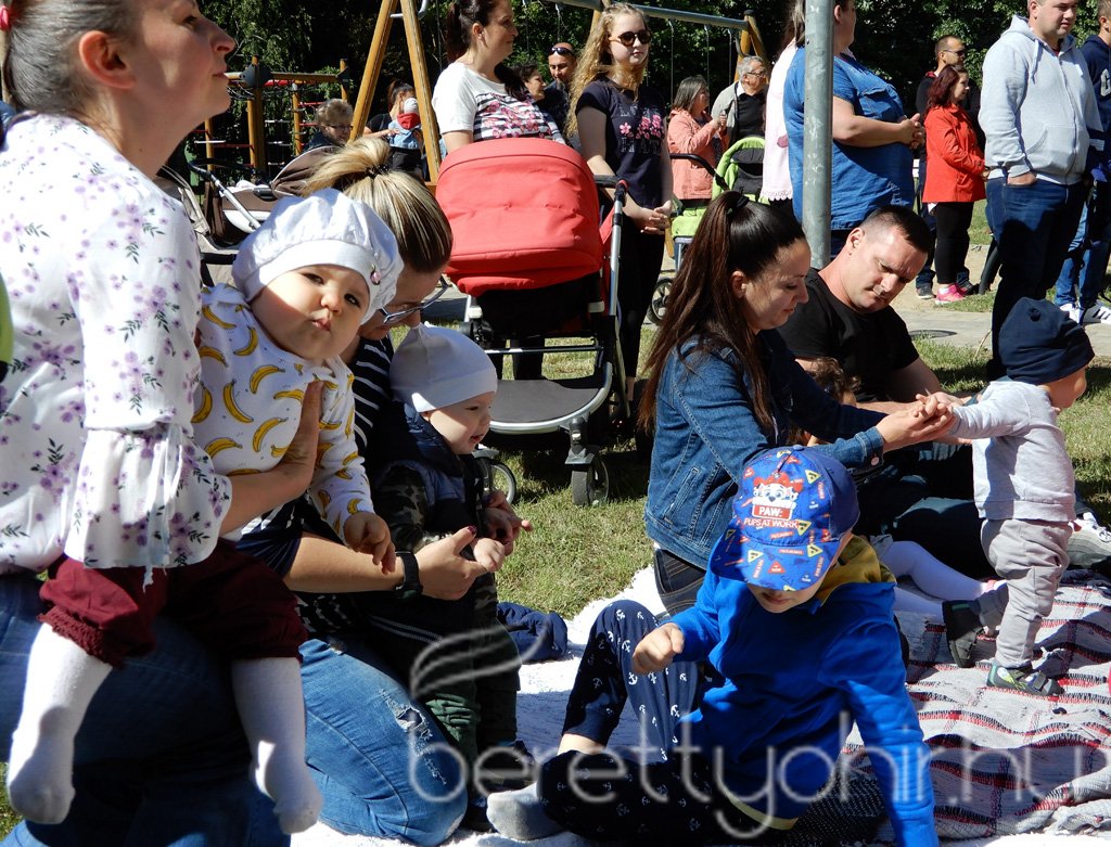 Életfa ültetés a város napján 23